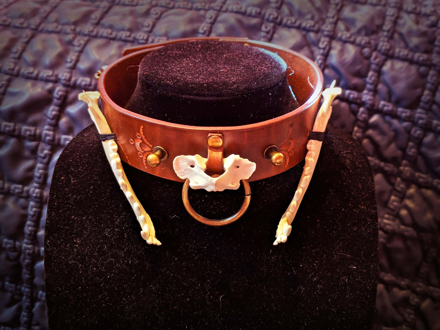 Fox Jaw Collar