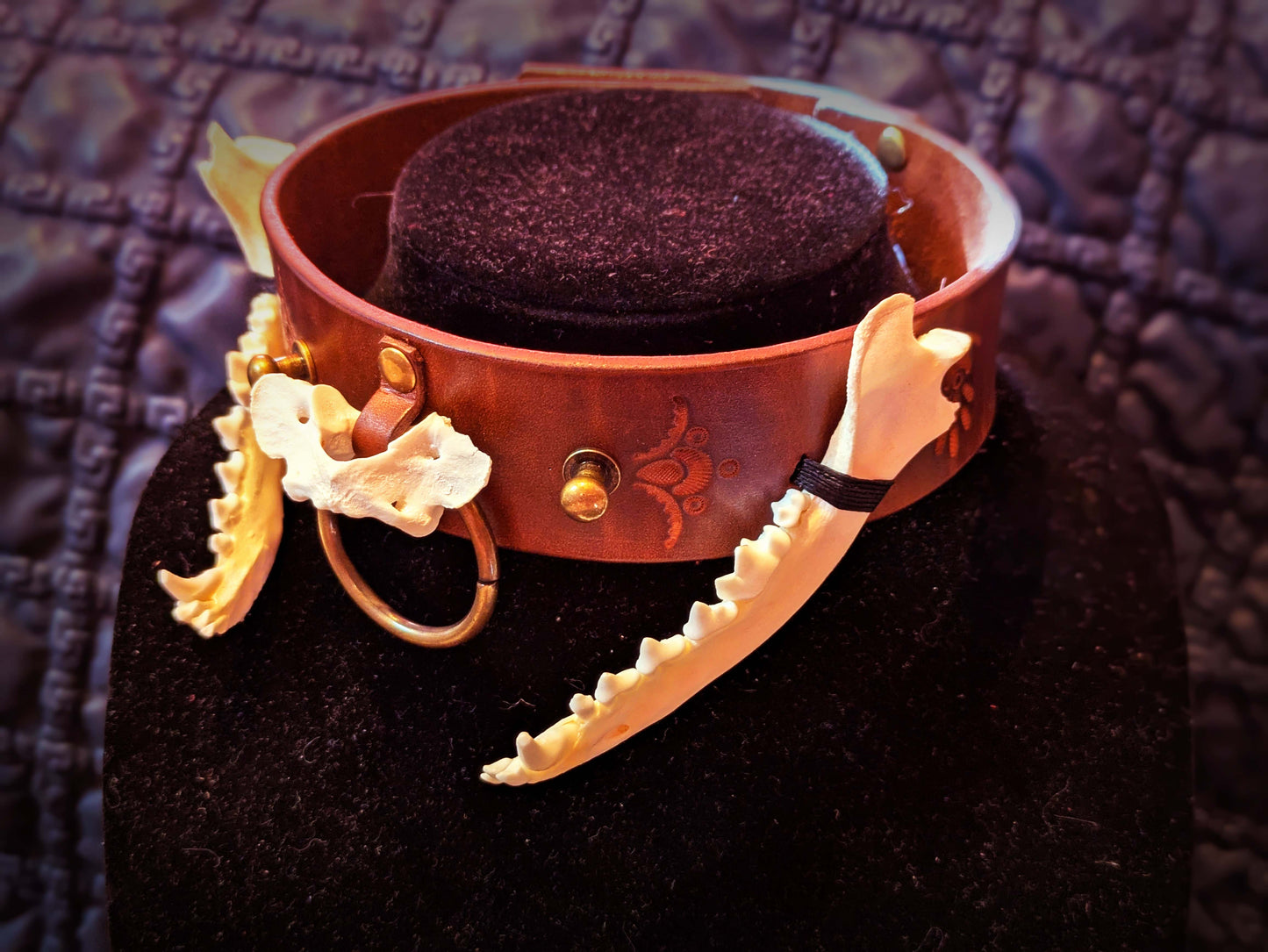 Fox Jaw Collar