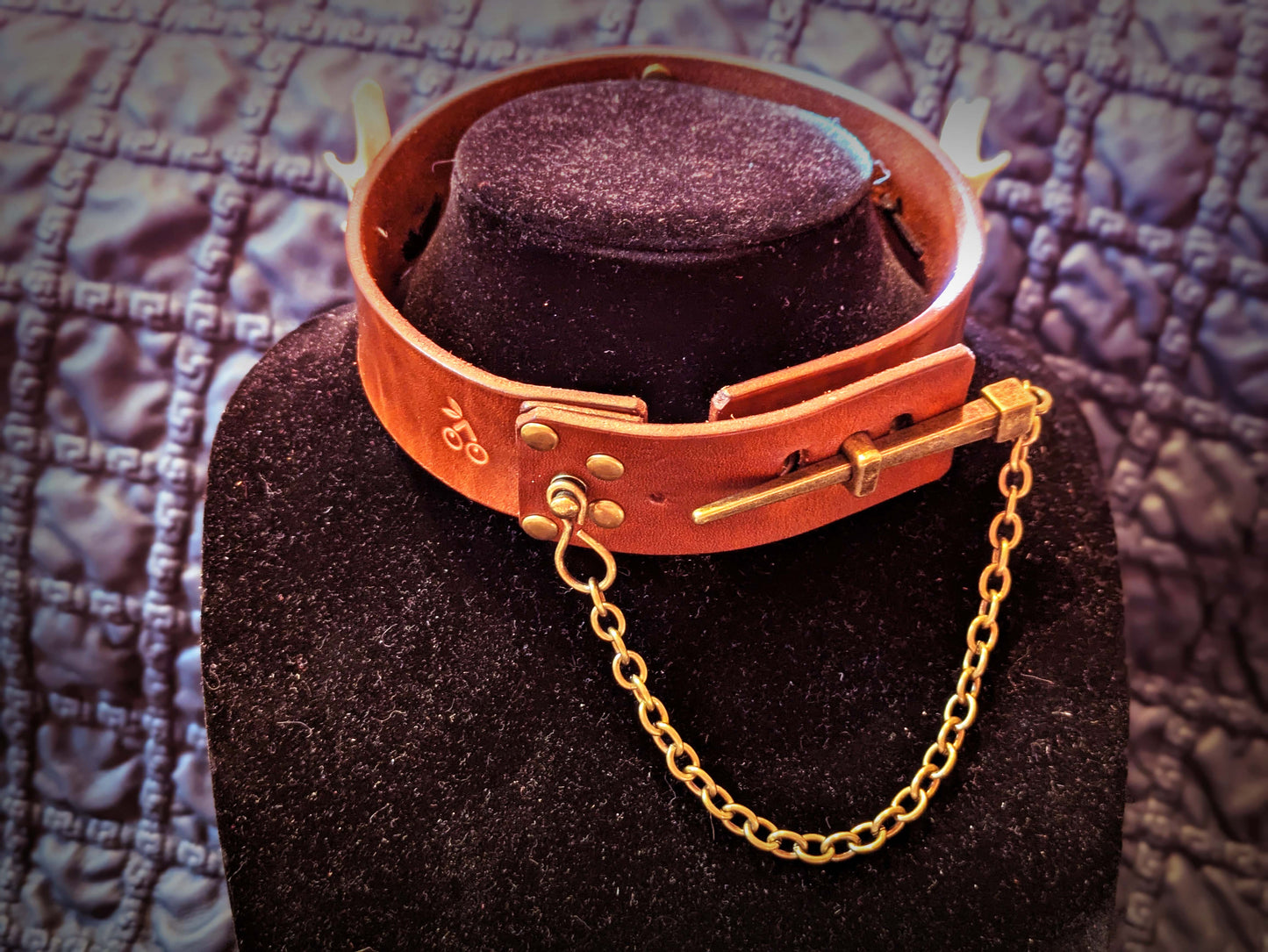 Fox Jaw Collar