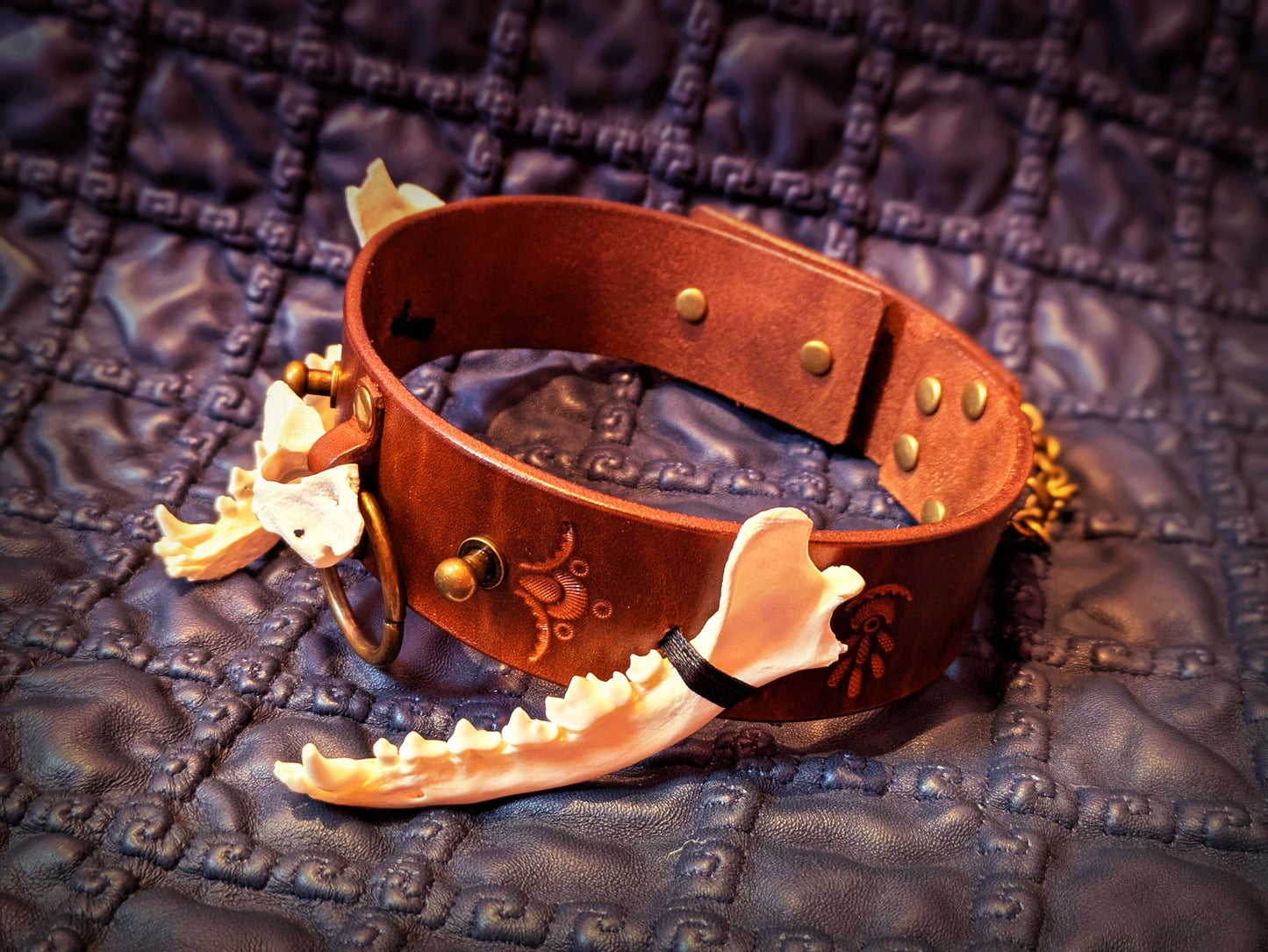 Fox Jaw Collar