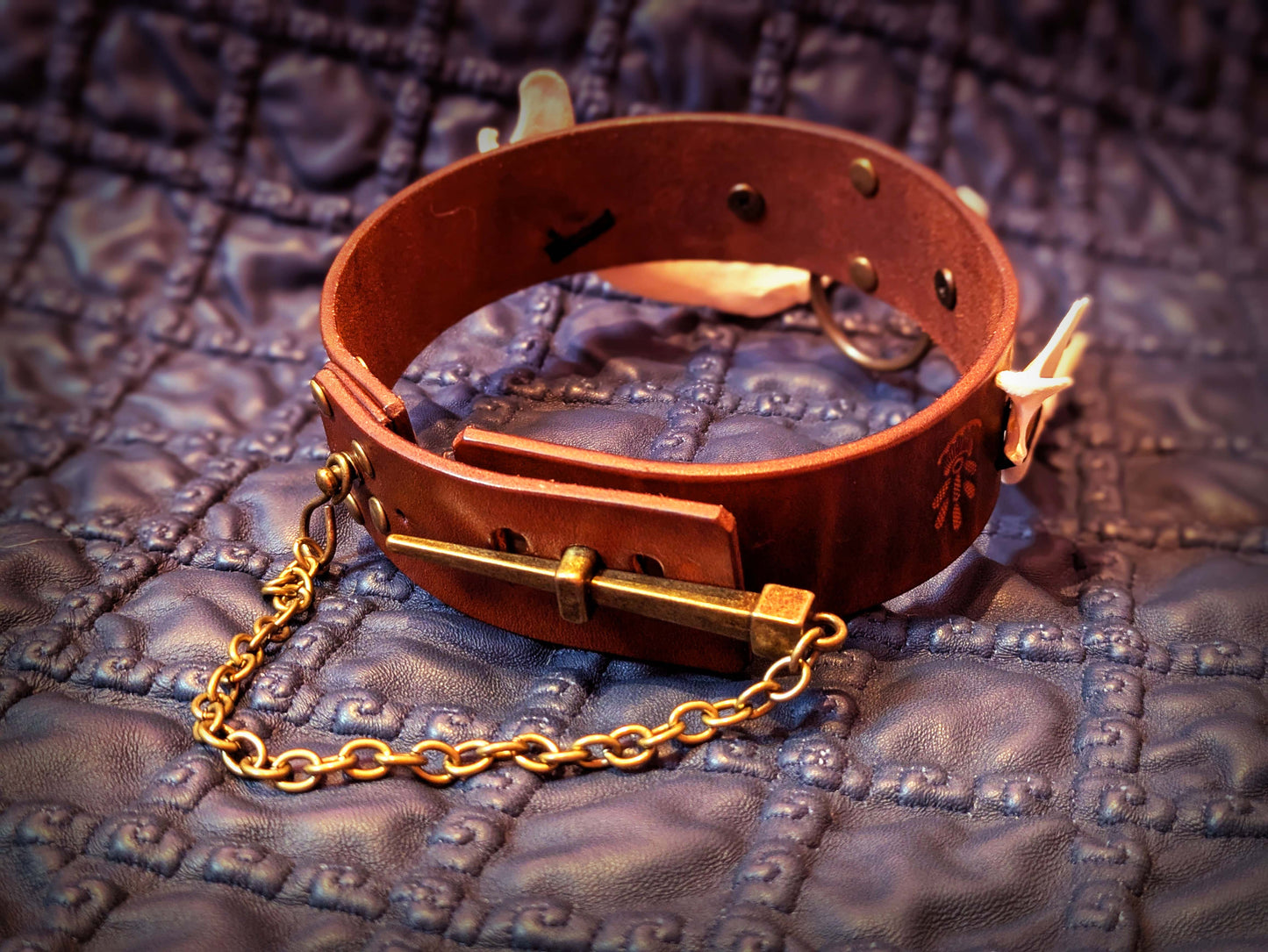 Fox Jaw Collar